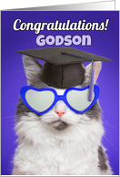 Congratulations Graduate Godson Cute Cat in Grad Cap Humor card