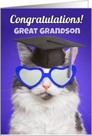 Congratulations Graduate Great Grandson Cat in Grad Cap Humor card