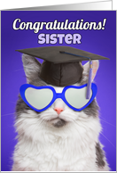 Congratulations Graduate Sister Cute Cat in Grad Cap Humor card