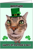 Happy St. Patrick’s Day Brother Cute Cat in Hat card