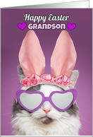 Happy Easter Grandson Cat in Bunny Ears Humor card