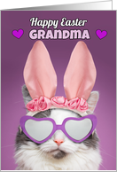 Happy Easter Grandma Cat in Bunny Ears Humor card