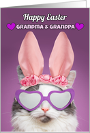 Happy Easter Grandma & Grandpa Cat in Bunny Ears Humor card