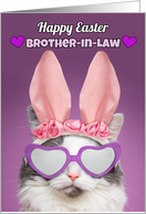 Happy Easter Brother-in-Law Cat in Bunny Ears Humor card