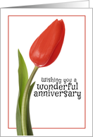 Happy Anniversary Beautiful Red Tulip card