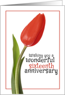 Happy 16th Anniversary Beautiful Red Tulip card