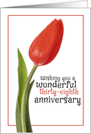 Happy 38th Anniversary Beautiful Red Tulip card