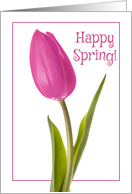 Happy Spring Beautiful Pink Tulip For Anyone card