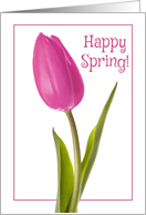 Happy Spring...