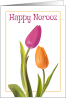 Happy Norooz for Anyone Beautiful Tulips card