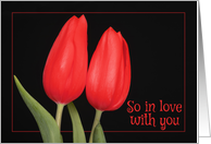 Two Red Tulips Love and Romance card