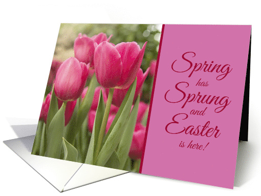 Happy Easter For Anyone Beautiful Pink Tulips Photograph card
