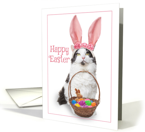 Happy Easter For Anyone Cat in Bunny Ears with Basket Humor card