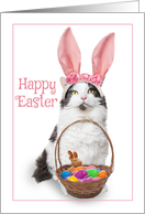 Happy Easter For Anyone Cat in Bunny Ears with Basket Humor card