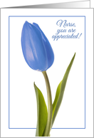 Happy Nurses Day Pretty Blue Tulip card