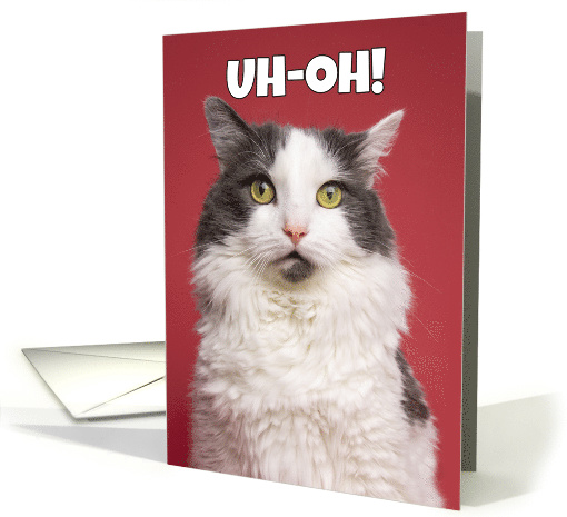 Uh-Oh Happy Belated Birthday Funny Kitty Humor card (1565528)