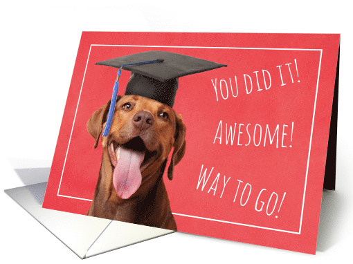 Congratulations Graduate Cute Dog in Grad Cap Humor card (1565626)