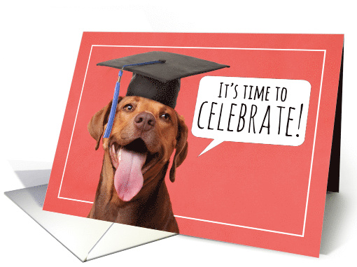 Graduation Party Invitation Cute Dog in Cap Humor card (1565630)