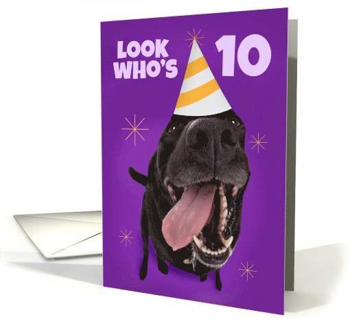 Happy 10th Birthday Funny Dog in Party Hat Humor card (1565748)