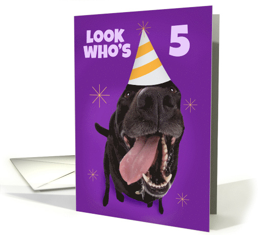 Happy 5th Birthday Funny Dog in Party Hat Humor card (1565768)