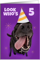 Happy 5th Birthday Funny Dog in Party Hat Humor card
