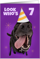 Happy 7th Birthday Funny Dog in Party Hat Humor card