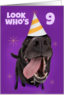 Happy 9th Birthday Funny Dog in Party Hat Humor card