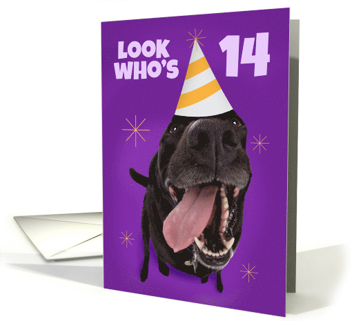 Happy 14th Birthday Funny Dog in Party Hat Humor card (1565786)