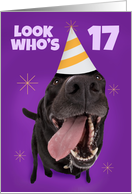 Happy 17th Birthday Funny Dog in Party Hat Humor card