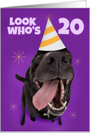 Happy 20th Birthday Funny Dog in Party Hat Humor card