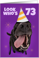 Happy 73rd Birthday Funny Dog in Party Hat Humor card