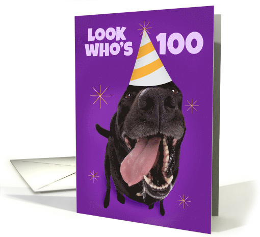 Happy 100th Birthday Funny Dog in Party Hat Humor card (1566208)