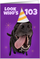 Happy 103nd Birthday Funny Dog in Party Hat Humor card