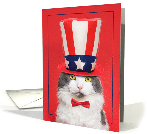 Happy Fourth of July Cute Cat in Hat Humor card (1566236)