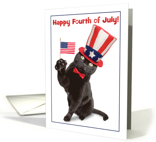 Happy Fourth of July Patriotic Cat Humor card (1566324)