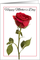 Happy Mother’s Day Beautiful Red Rose card