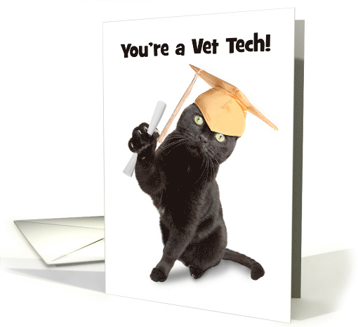 Congratulations Vet Tech Graduate Cat in Grad Cap Humor card (1566444)