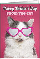 Happy Mother’s Day From the Cat Humor card
