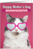 Happy Mother’s Day Granddaughter Cute Cat in Heart Glasses Humor card
