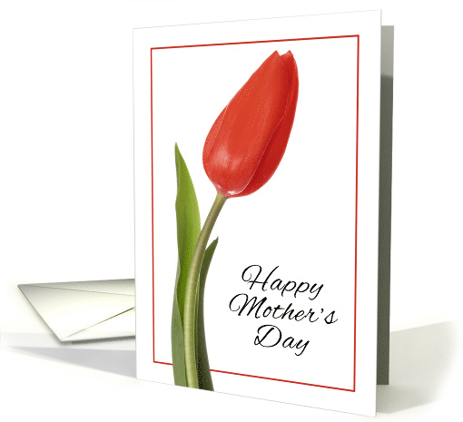 Happy Mother's Beautiful Red Tulip card (1567270)