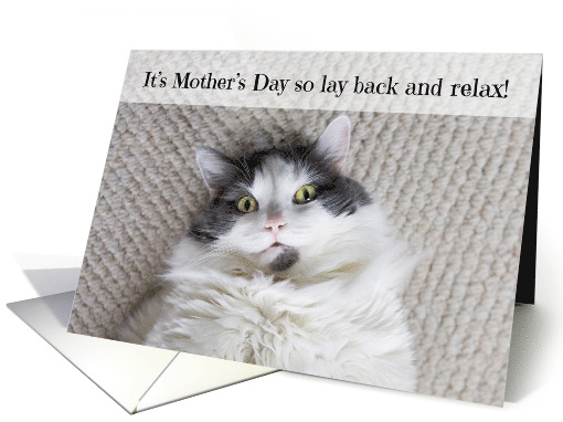 Happy Mother's Day Relaxing Cat Humor card (1567276)
