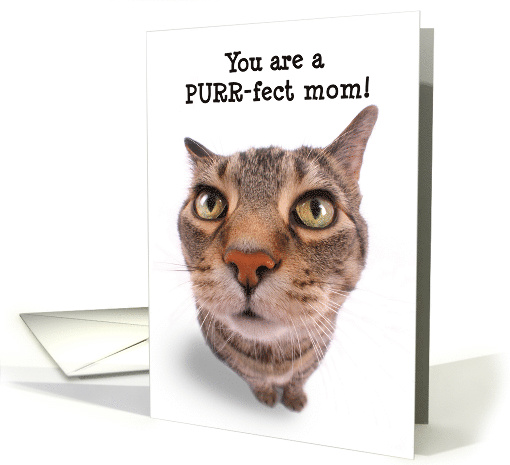 Happy Mother's Day Funny Tabby Cat Humor card (1567680)