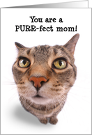 Happy Mother’s Day Funny Tabby Cat Humor card