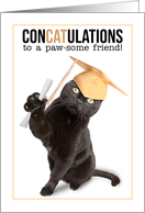 Congratulations Graduate Friend Funny Cat Puns Humor card