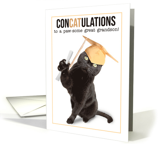 Congratulations Graduate Great Grandson Funny Cat Puns Humor card