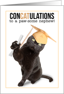Congratulations Graduate Nephew Funny Cat Puns Humor card