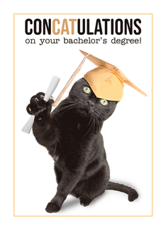 Congratulations Bachelor's Degree Graduate Cute Cat Humor