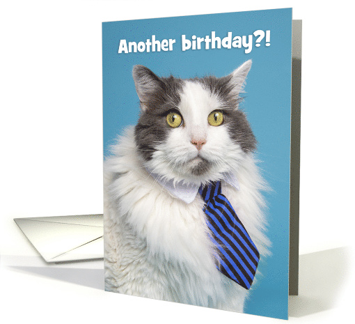 Happy Birthday For Anyone Stressed Business Cat Humor card (1569026)