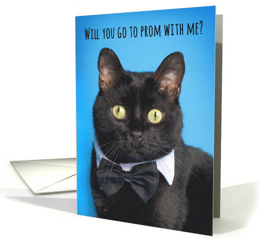 Will You Go To Prom Cat Humor card (1569044)