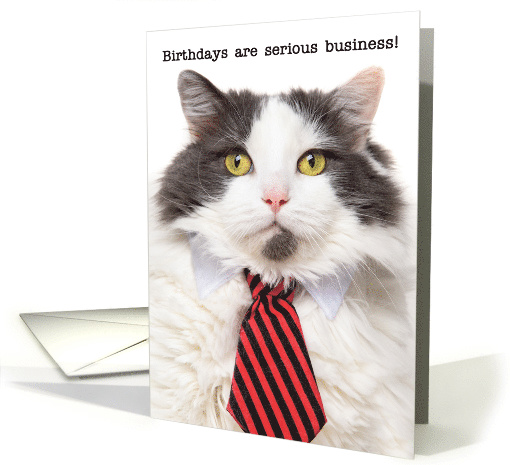 Happy Birthday Serious Business Cat Humor card (1569358)